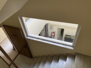 IMG_8621